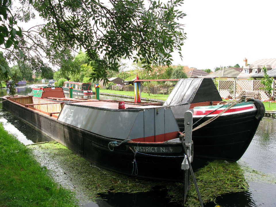 Arundel Joe