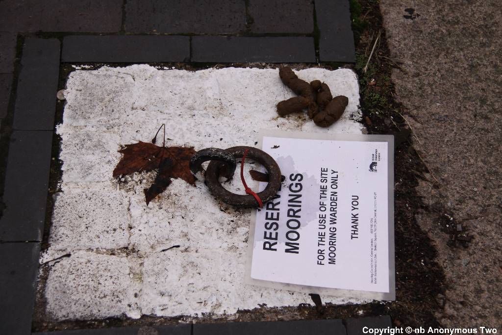 Dog Crap
