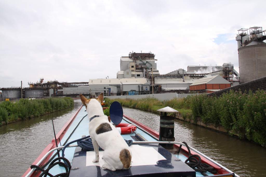 Salt works