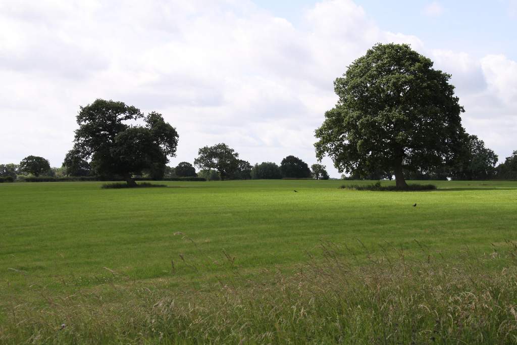 countryside